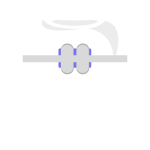 ortodont
